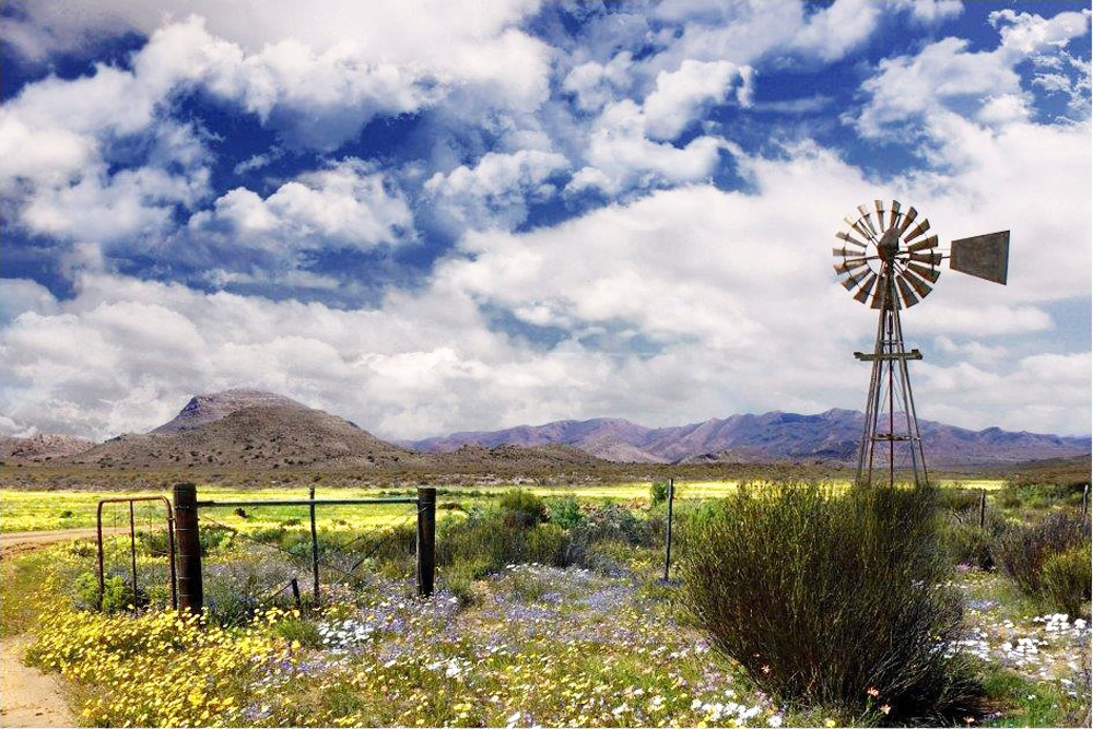 DE003 Wall décor art photographic on canvas landscape windmill